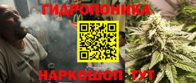 стафф Малгобек